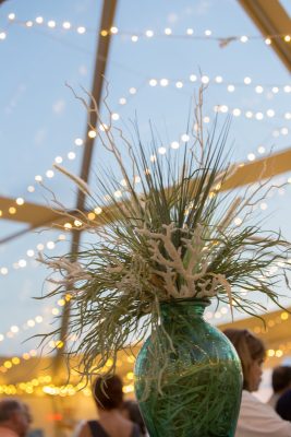 Seaside themed floral centerpiece above a food table at an outdoor banquet.  The centerpiece features white coral and green seagrass in a green glass vase